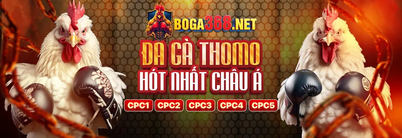 Đá Gà Trực Tiếp SV388 Đỉnh Cao
